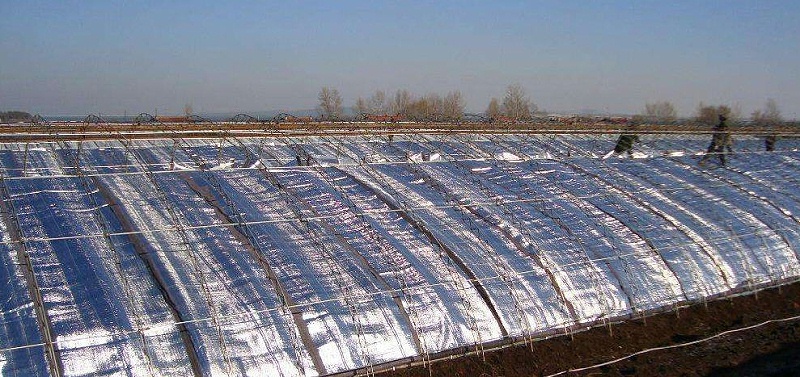 珍珠棉保溫大棚 珍珠棉保溫大棚